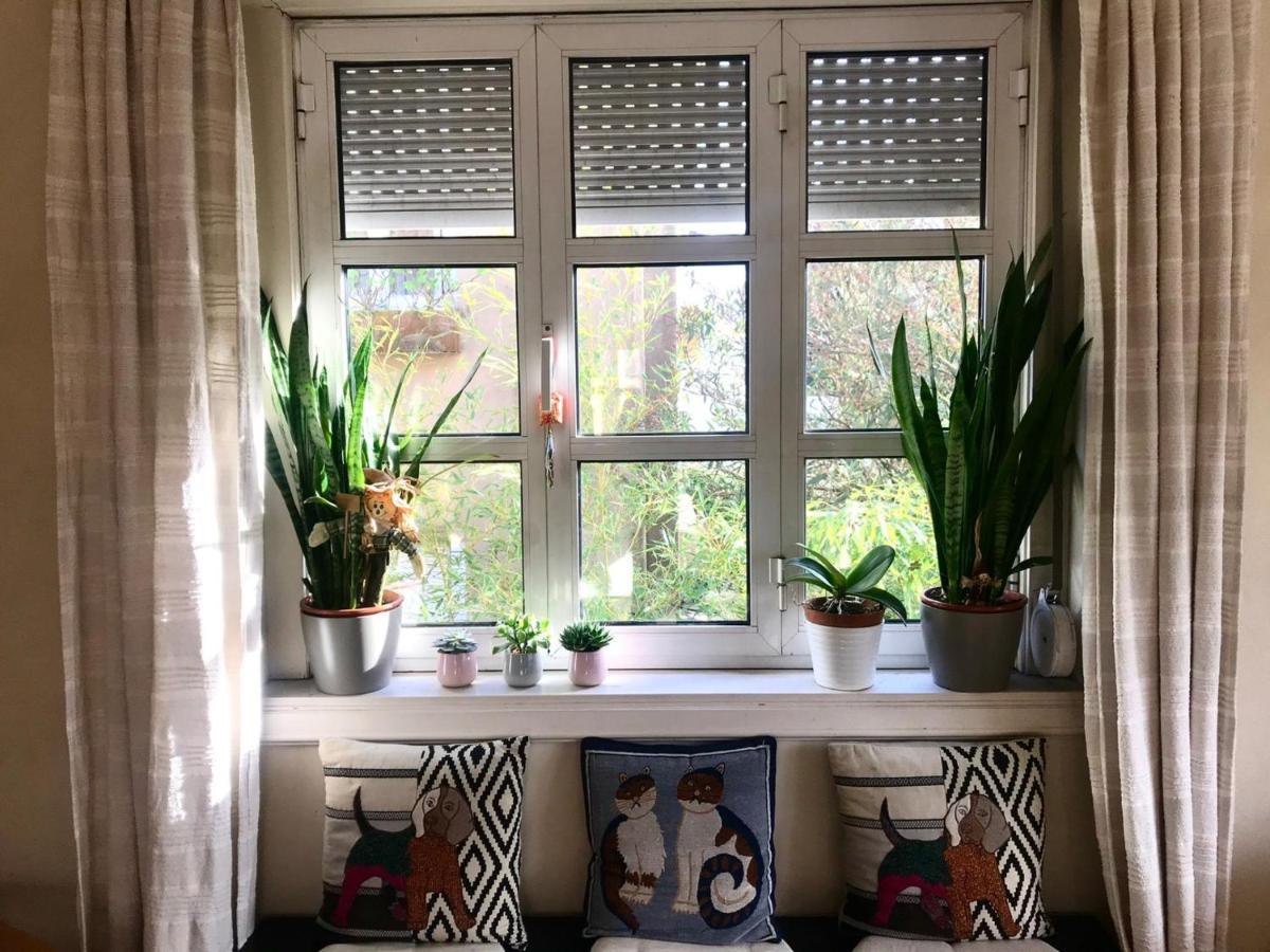 Antas Cozy House Appartement Porto Buitenkant foto